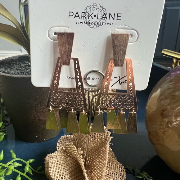 Park Lane Cataline Rose Gold Earrings - Picture 4 of 8